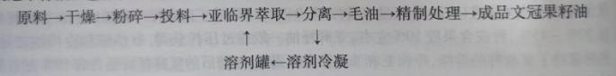 亞臨界萃取文冠果工藝